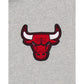 Chicago Bulls Gray Logo Select T-Shirt