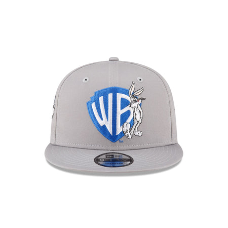 Warner Brothers Shield Pack 9FIFTY Snapback Hat