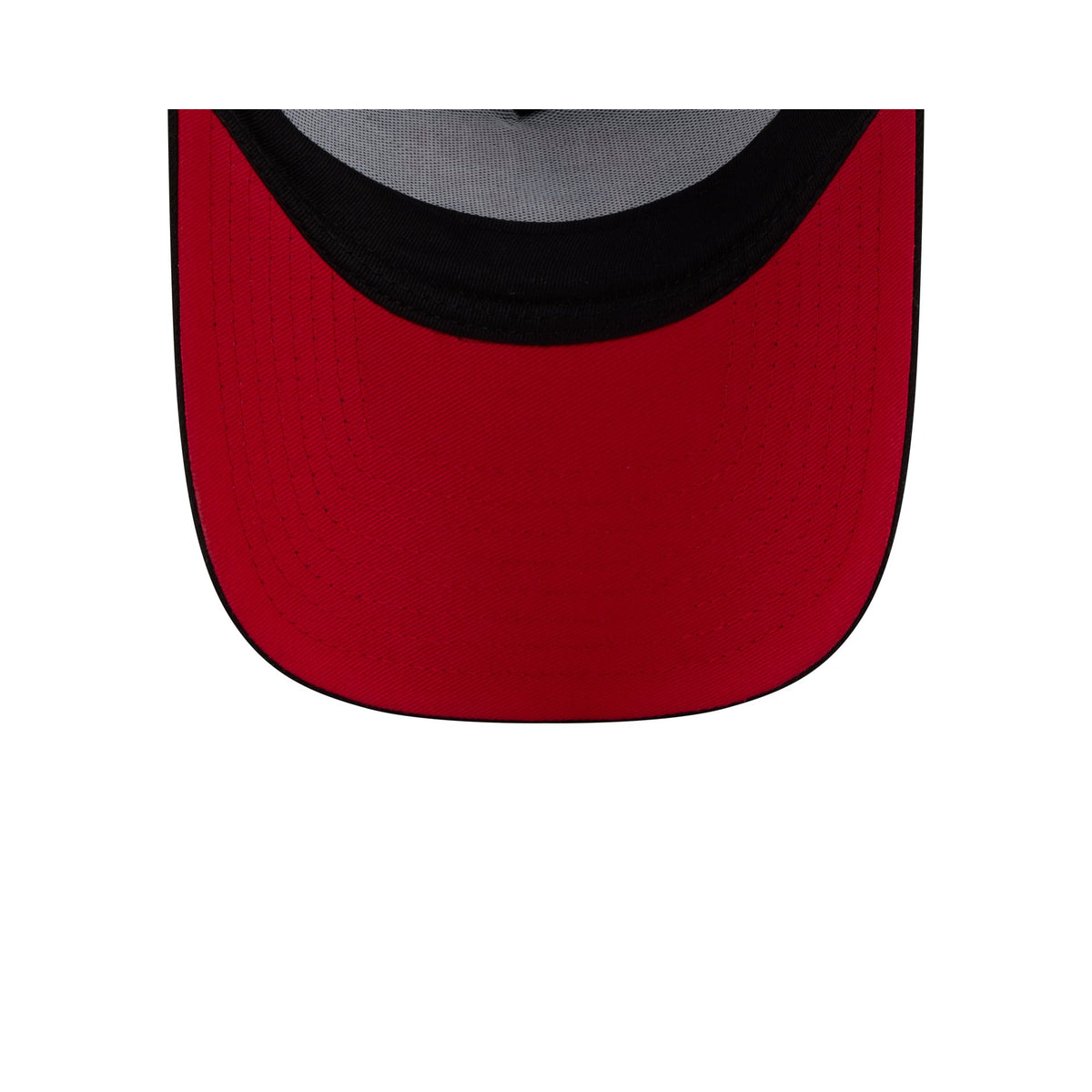 Toronto Raptors Mascot 9FORTY A-Frame Trucker Hat
