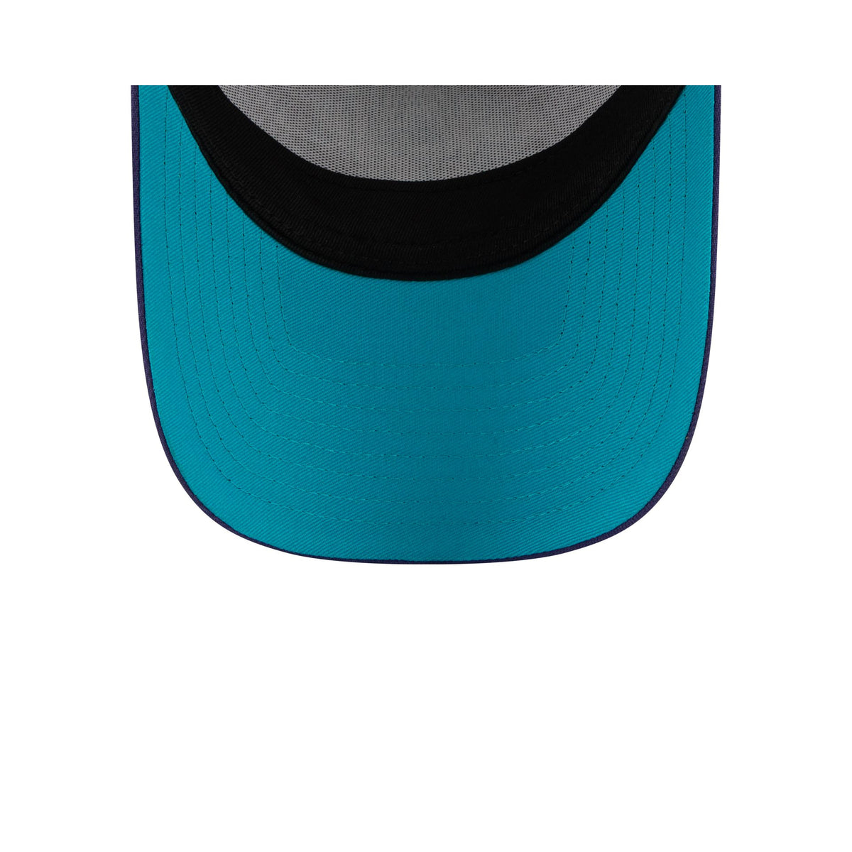 Charlotte Hornets Mascot 9FORTY A-Frame Trucker Hat