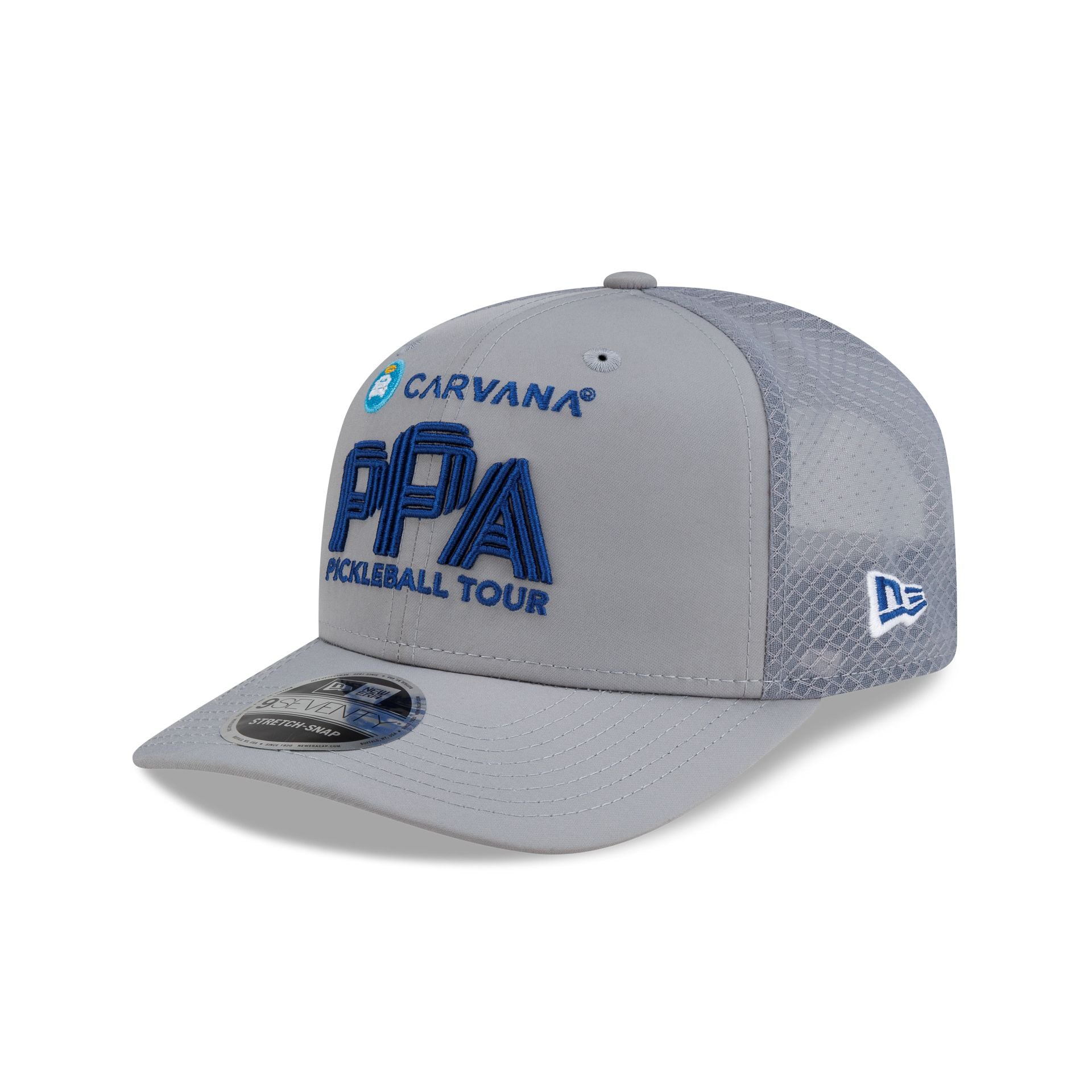 Professional Pickleball Association Carvana Pickleball Tour Gray