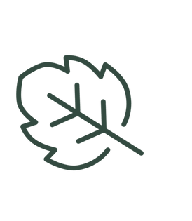 Decorative autumn leaf