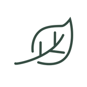 Decorative autumn leaf