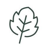 Decorative autumn leaf