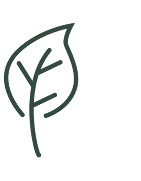 Decorative autumn leaf