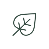 Decorative autumn leaf