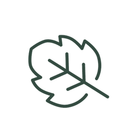 Decorative autumn leaf