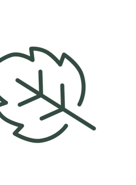 Decorative autumn leaf