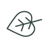 Decorative autumn leaf