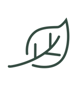 Decorative autumn leaf