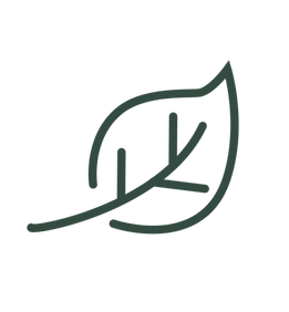 Decorative autumn leaf