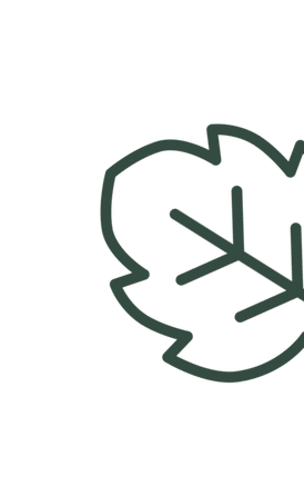 Decorative autumn leaf