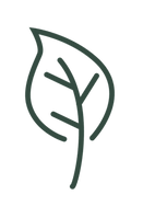 Decorative autumn leaf