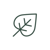 Decorative autumn leaf