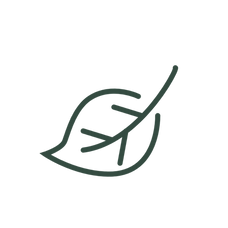 Decorative autumn leaf