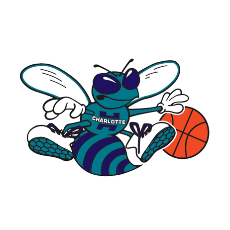 Charlotte Hornets