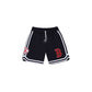 Boston Red Sox Logo Select Shorts
