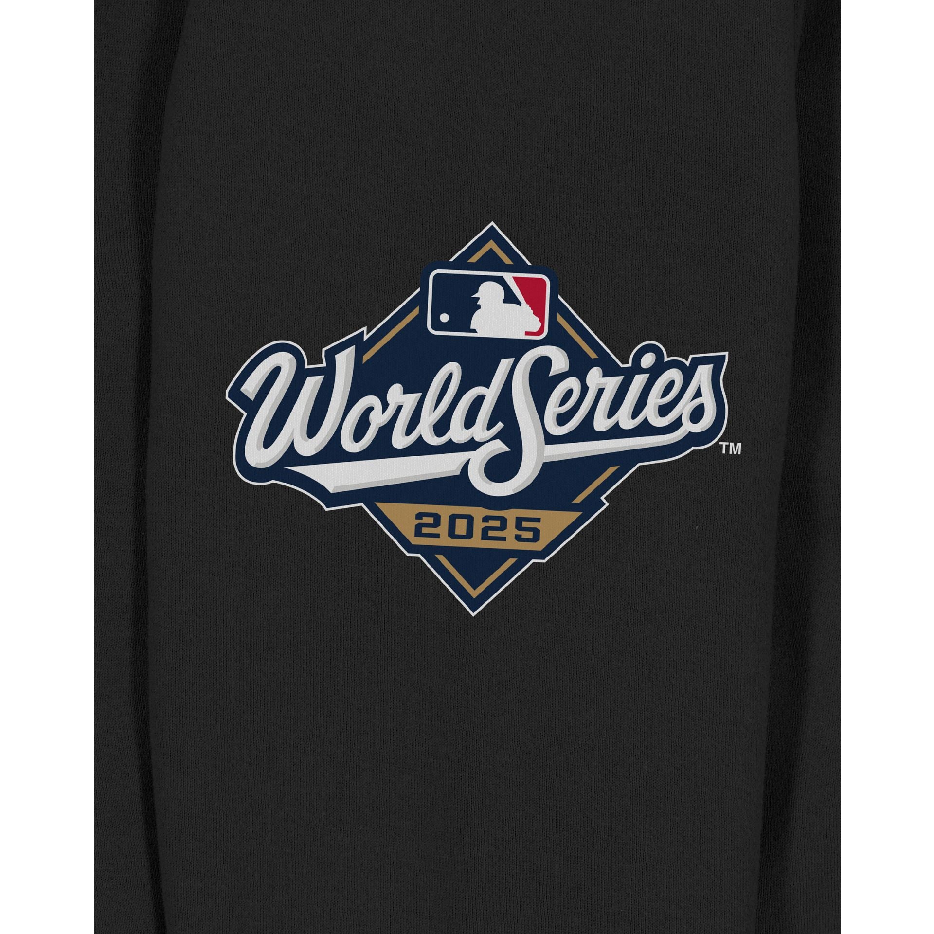 Los Angeles Dodgers 2025 World Series Champions Black Hoodie