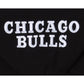 Chicago Bulls Logo Select Hoodie