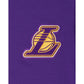 Los Angeles Lakers Logo Select Hoodie