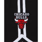 Chicago Bulls Logo Select Shorts