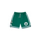 Boston Celtics Logo Select Shorts