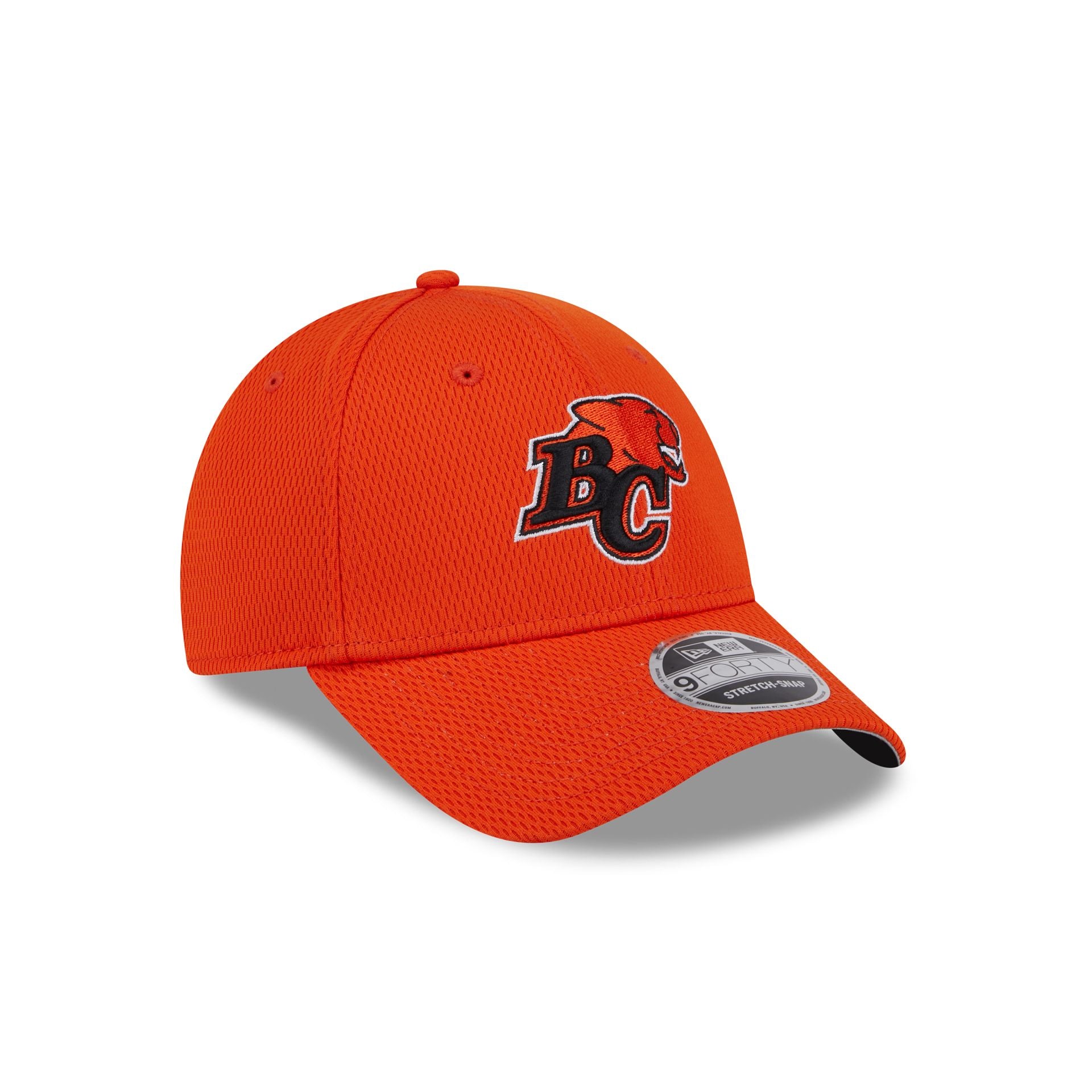 BC Lions Team 9FORTY Snapback Hat – New Era Cap