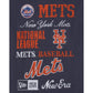 New York Mets Old School Sport Long Sleeve T-Shirt