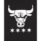 Chicago Bulls 2023 City Edition Black T-Shirt
