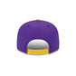 Minnesota Vikings Team Establish 9FIFTY Snapback Hat