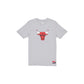Chicago Bulls Throwback T-Shirt