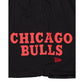 Chicago Bulls Mesh Shorts
