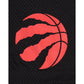 Toronto Raptors Mesh Shorts