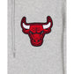 Chicago Bulls Gray Logo Select Full-Zip Hoodie