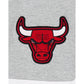 Chicago Bulls Gray Logo Select Shorts