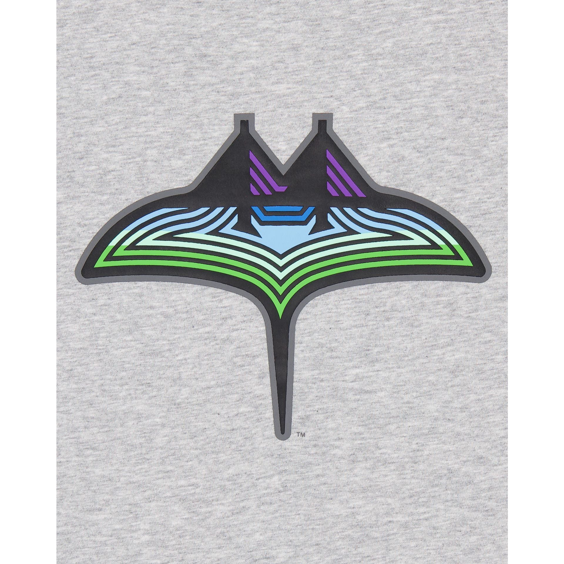 Tampa Bay Rays City Connect Gray T-Shirt MLB