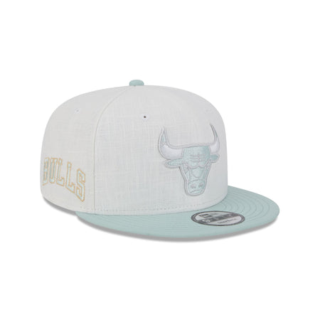Chicago Bulls Minty Breeze Logo Select 9FIFTY Snapback