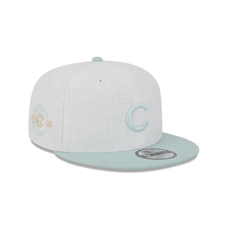 Chicago Cubs Minty Breeze Logo Select 9FIFTY Snapback