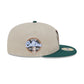Boston Celtics Earth Day 59FIFTY Fitted Hat