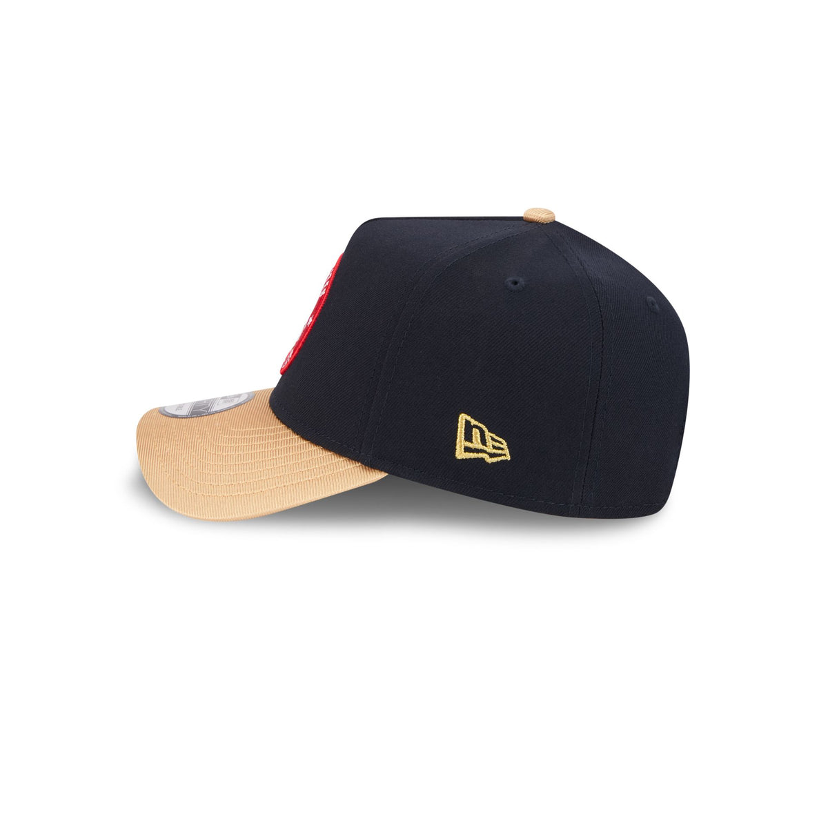 Team USA Olympics 9FORTY A-Frame Snapback Hat