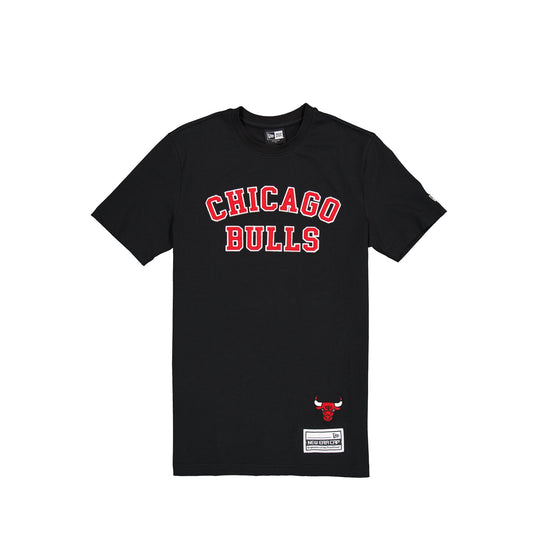 Chicago Bulls Team Color Logo Select T-Shirt - New Era Cap