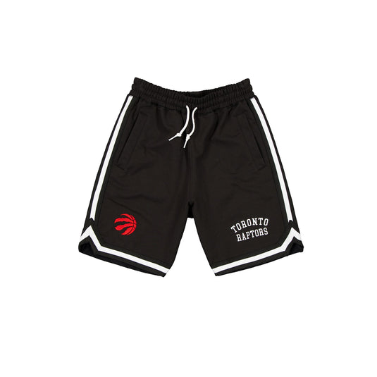 Toronto Raptors Team Color Logo Select Shorts - New Era Cap