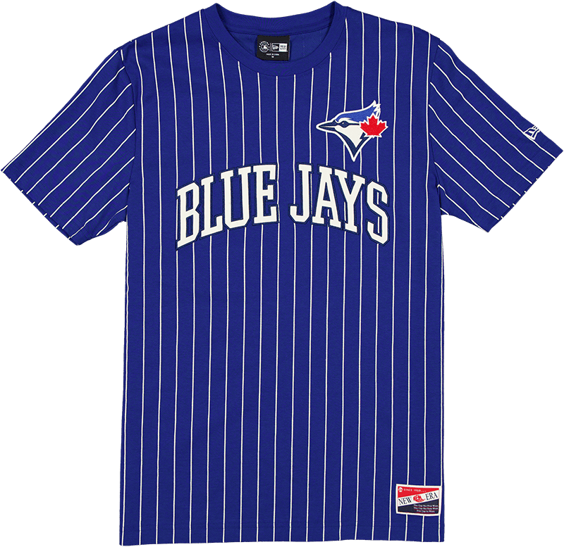 Toronto Blue Jays Throwback Pinstripe Wordmark T-Shirt