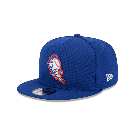New York Mets 2025 Clubhouse Alt 9FIFTY Snapback Hat - New Era Cap