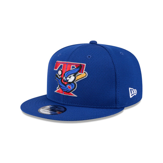 Toronto Blue Jays 2025 Clubhouse Alt 9FIFTY Snapback Hat - New Era Cap