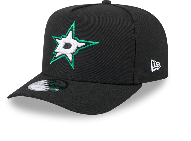 Dallas Stars Team 9FIFTY A-Frame Snapback Hat