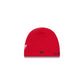 Detroit Red Wings Mini Fan Kids Skull Knit Hat