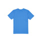 Detroit Lions Throwback Retro Pinstripe T-Shirt