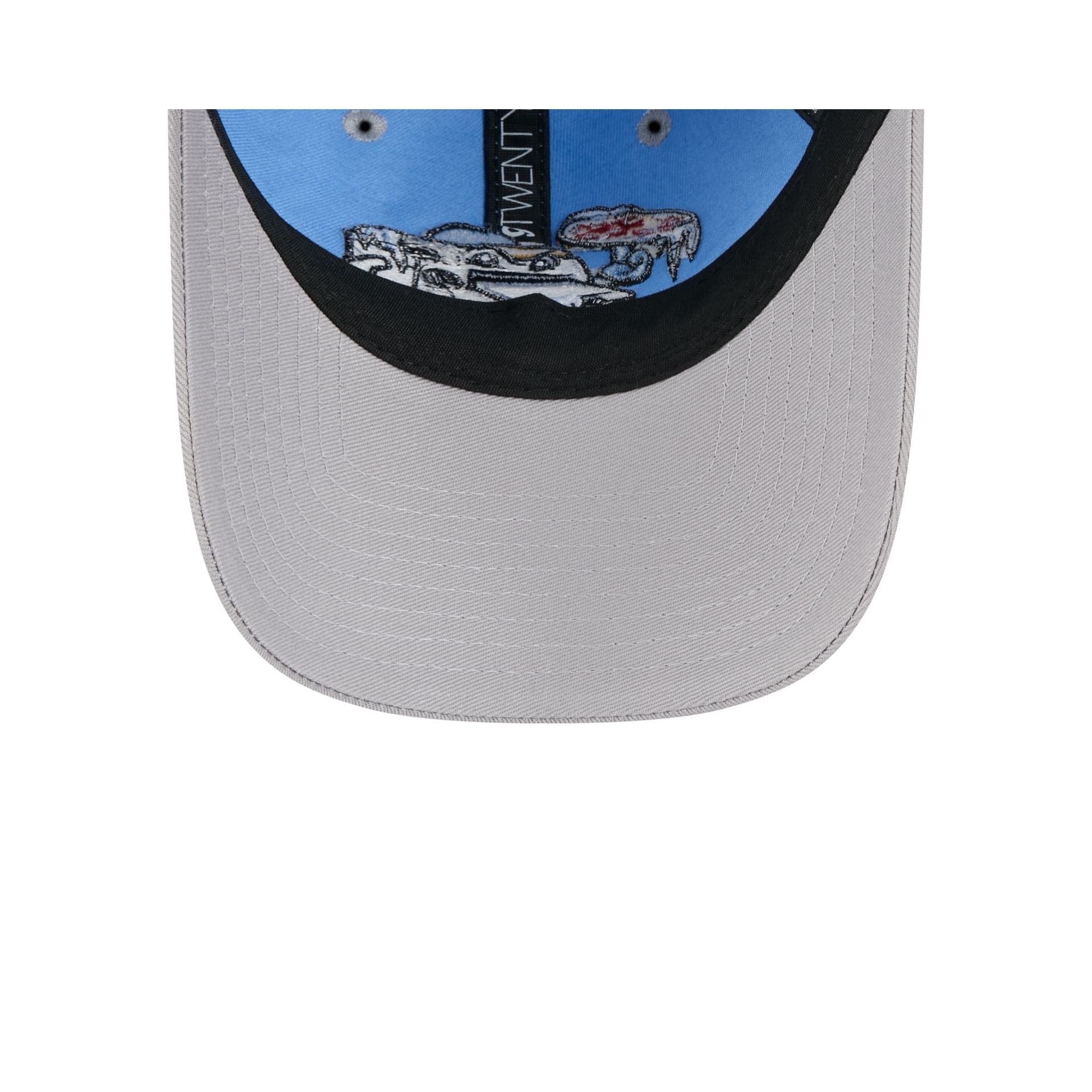 Wisconsin Timber Rattlers Theme Night Light Blue 9TWENTY Adjustable Hat