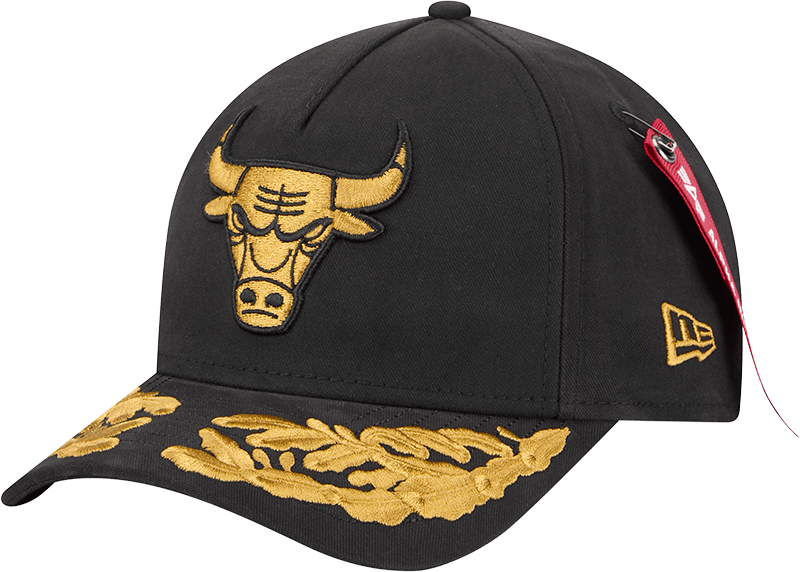 Alpha Industries x Chicago Bulls Black 9FORTY M-Crown A-Frame Snapback Hat